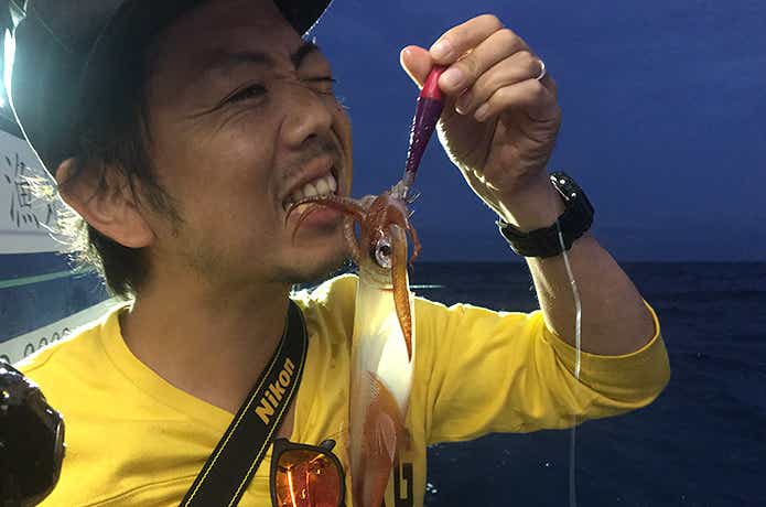 スッテの画像
