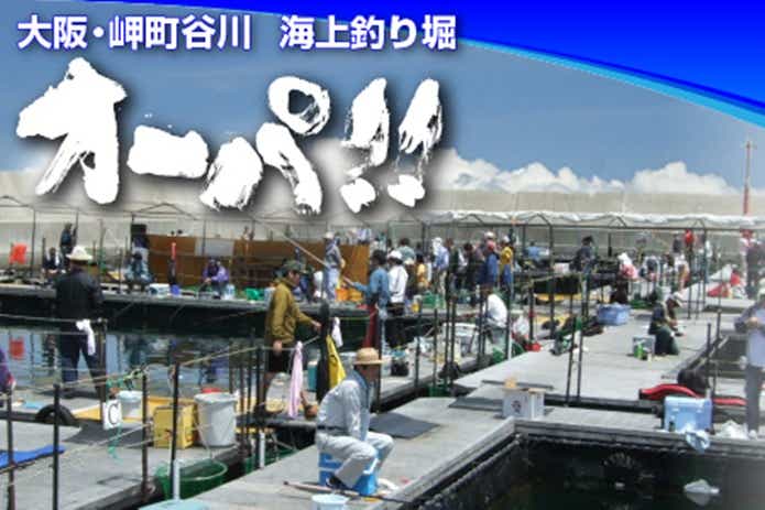 海上釣り堀オーパ