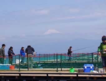 海上釣り堀まるや