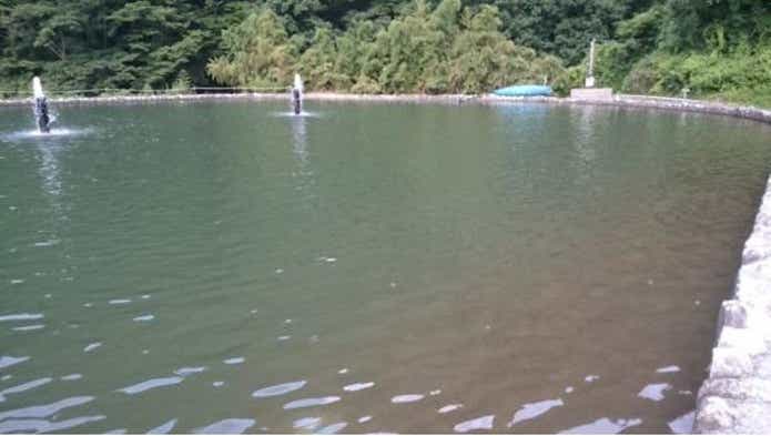 フィッシングエリア　TAISYAKU