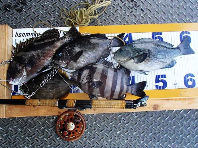 落とし込み釣り