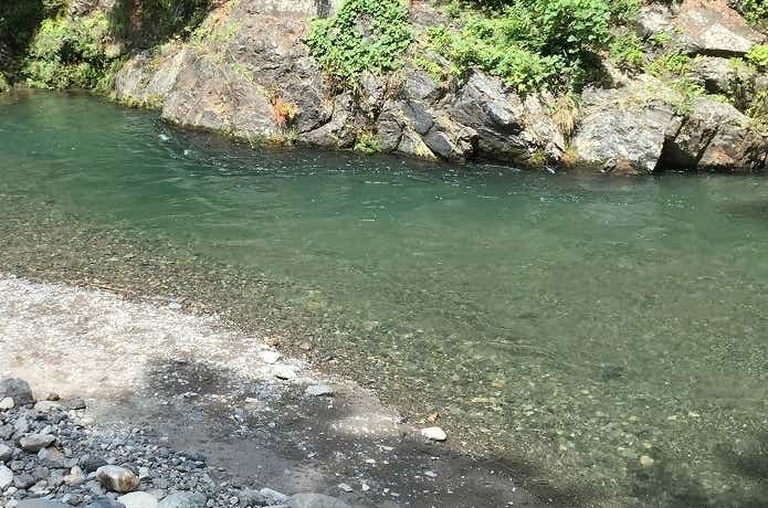 氷川国際ます釣場