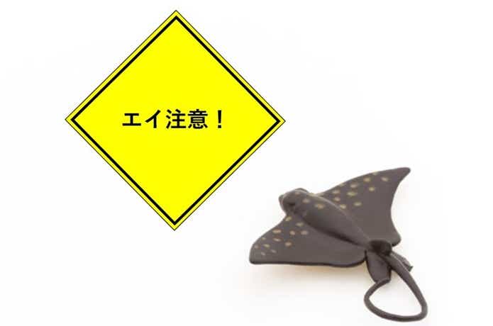 エイ注意の画像