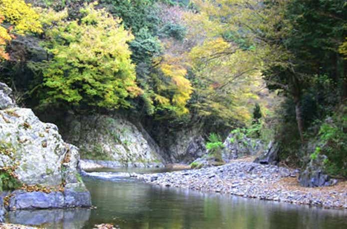 秋川渓谷・コテージ森林村