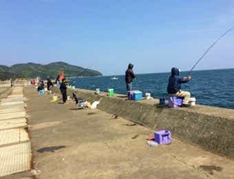 ウキ釣り