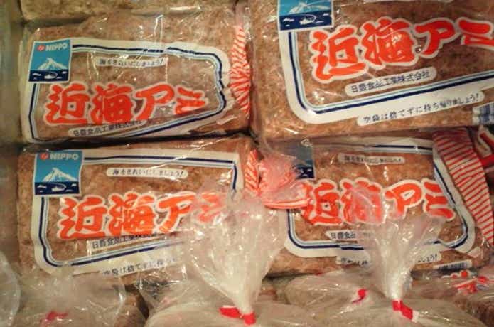 近海アミ
