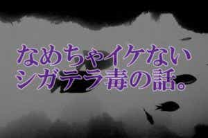 シガテラ