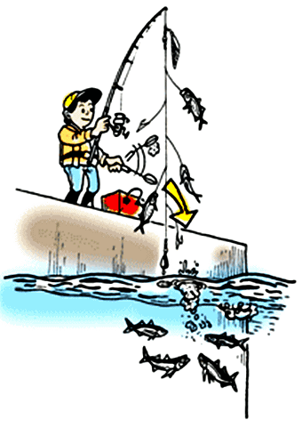 サビキ釣りイラスト