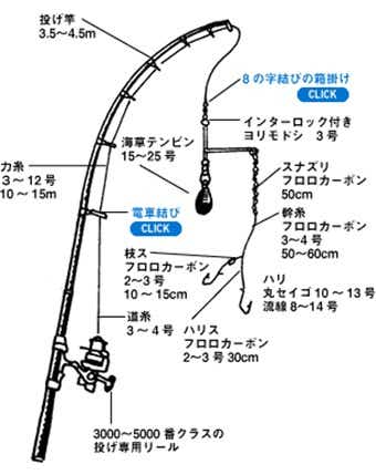 カレイ　タックル