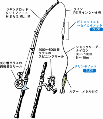 カンパチの仕掛けの画像