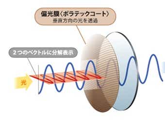 偏光グラスの仕組み トップ