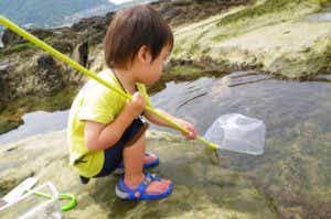 子供タイドプール
