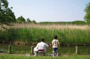 浮間公園で釣りの画像