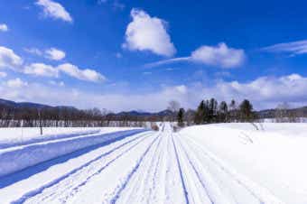 雪道の画像