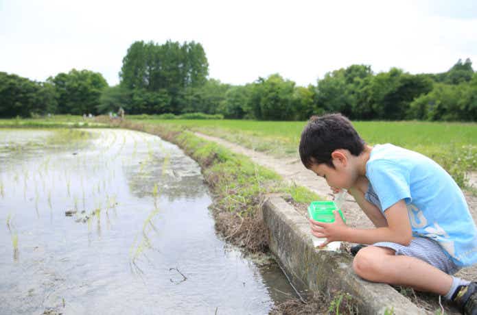 夏休み