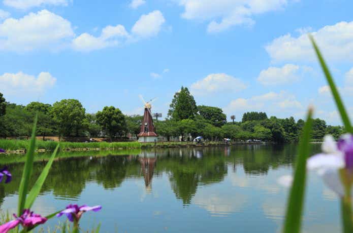 浮間公園の風景の画像