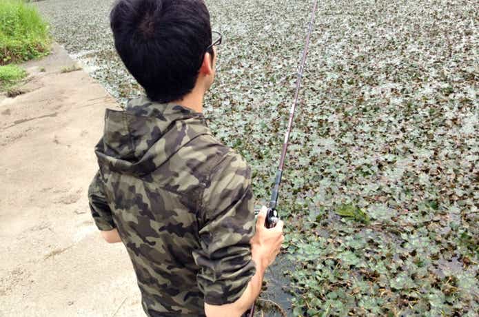 雷魚の釣り方の画像