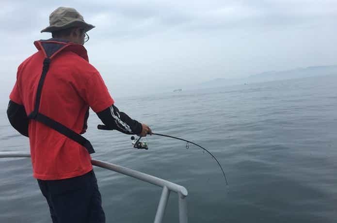 ホウボウの釣り方