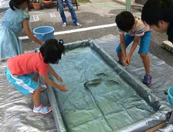 増井養魚場主催のつかみ取り