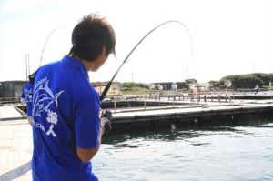 淡路島の釣り堀