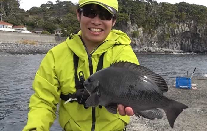 グレの釣果