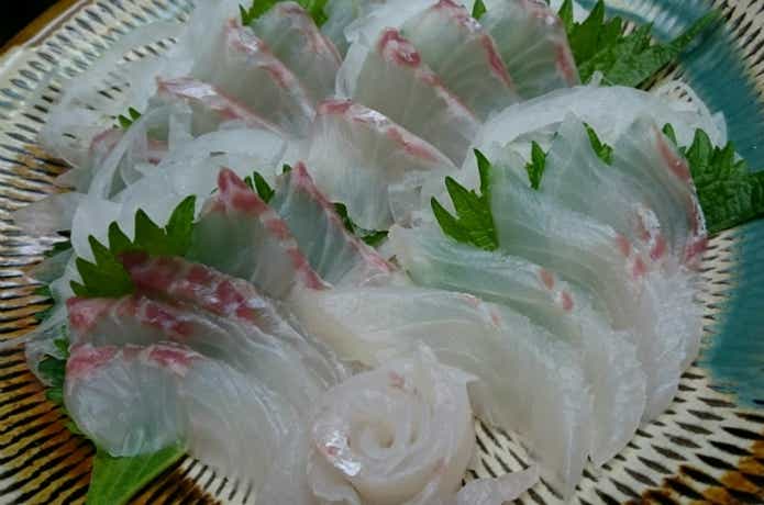 チカメキントキの刺身