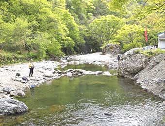 あしがくぼ渓谷国際釣場のマス一日エリア