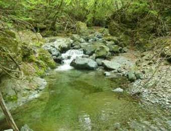 赤久縄の上流エリア