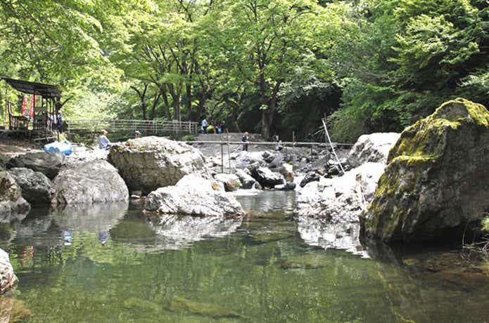 あしがくぼ渓谷国際釣場の釣りエリア