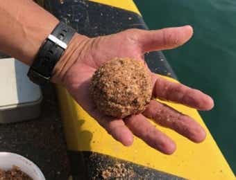 だんご釣りのダンゴ餌