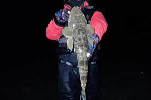 釣った魚を大きく見せるテクニック