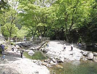 あしがくぼ渓谷国際釣場の時間エリア