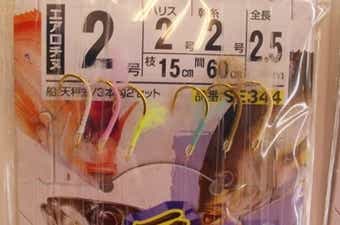 ハナダイのウィーリー