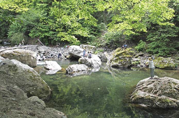 あしがくぼ渓谷国際釣場の釣り風景