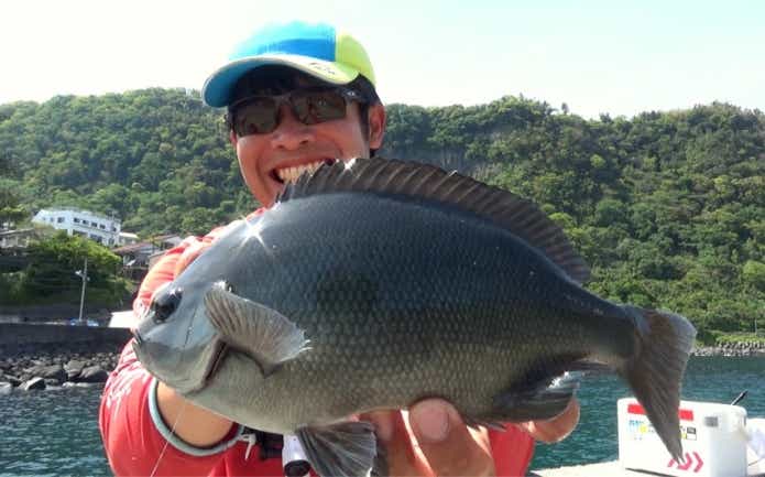 グレ釣り