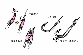 ハナダイの餌