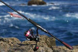 SHIMANO「19 セフィア SS 」！ 進化した人気エギングロッドに
