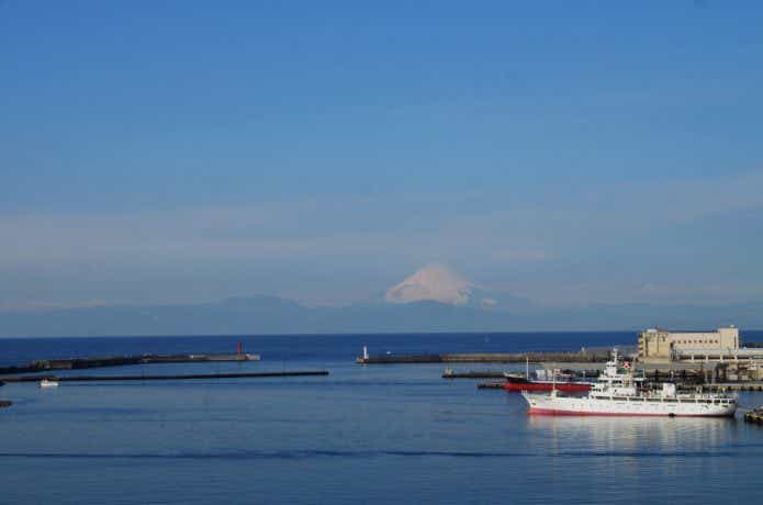 三崎の海