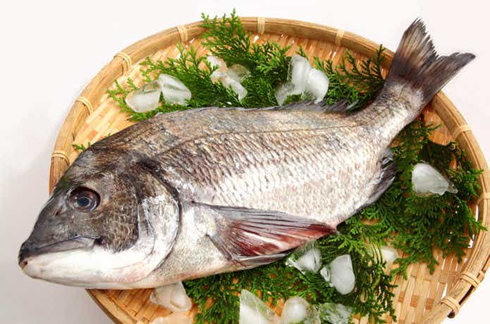 クロダイ料理の画像