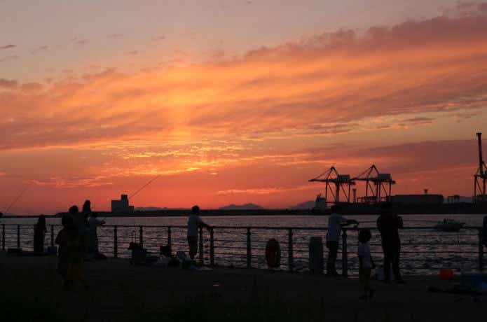 大阪南港魚つり園の画像