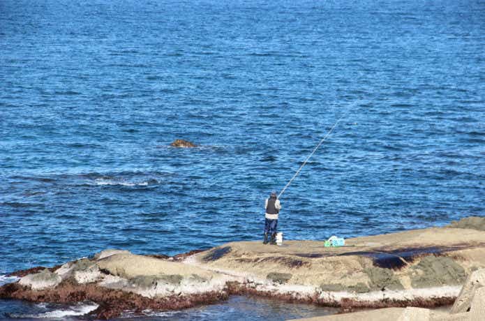 小売 山形・秋田堤防・磯釣り場ガイド 山形庄内と秋田、男鹿半島の釣り場１５４