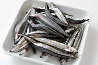 小魚