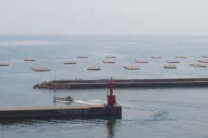 室津漁港