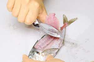 釣りの便利グッズ