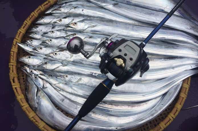 太刀魚の釣果の画像