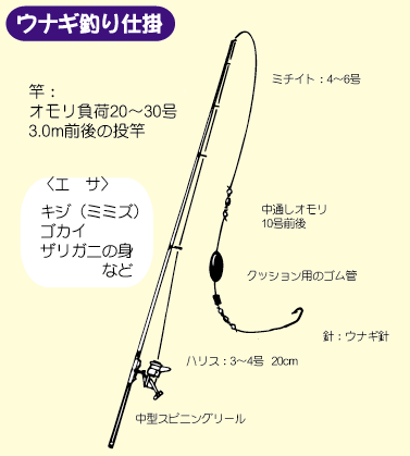 うなぎ仕掛け