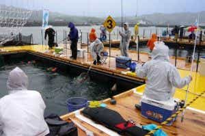 海上釣り堀・岬