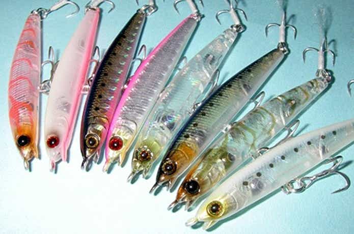 セイラミノーはシーバスにも効く！？気になるインプレと使い方と