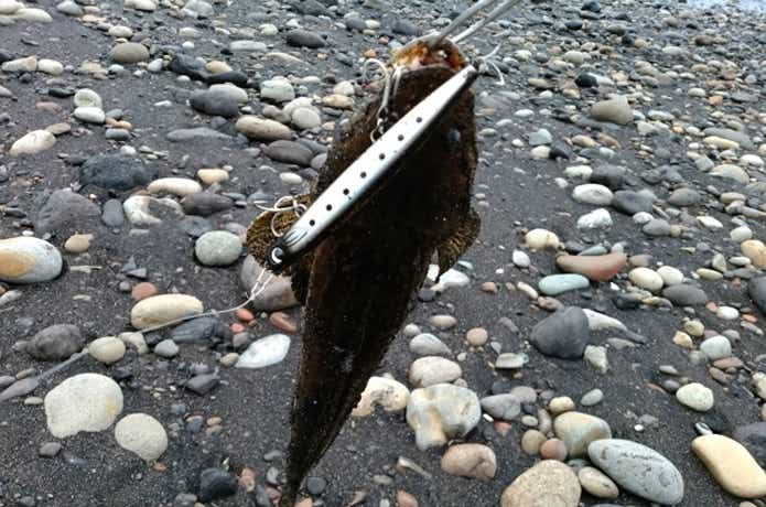 かっ飛び棒でマゴチを釣る