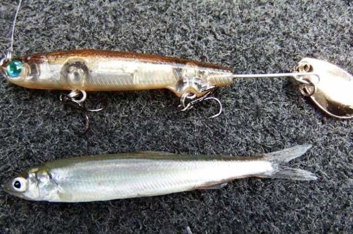 ブースターブレード55